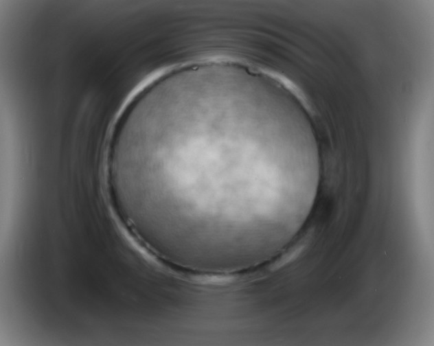 X0000085301134200703301954