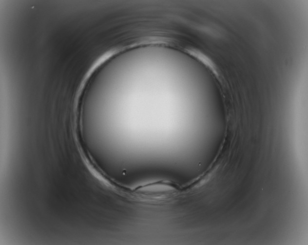 X0000085301135200703301954