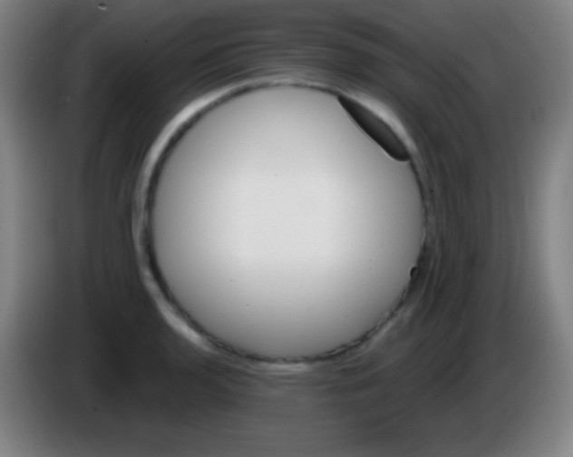 X0000085301136200703301954