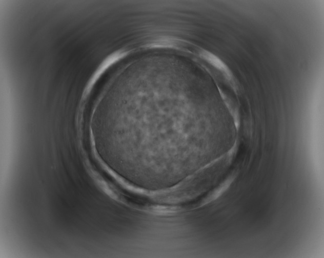 X0000085301138200703301954