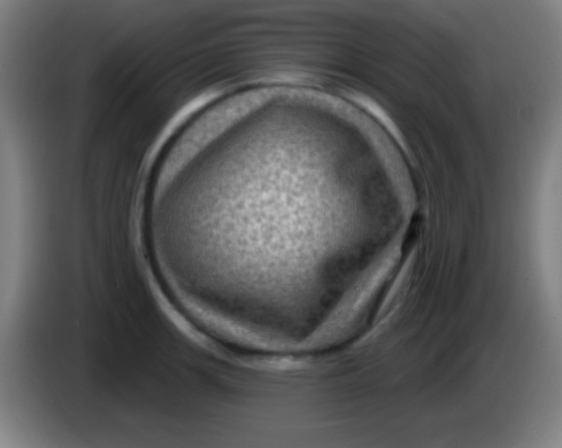 X0000085301139200703301954