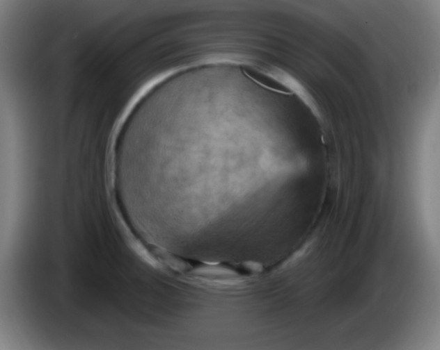 X0000085301140200703301954