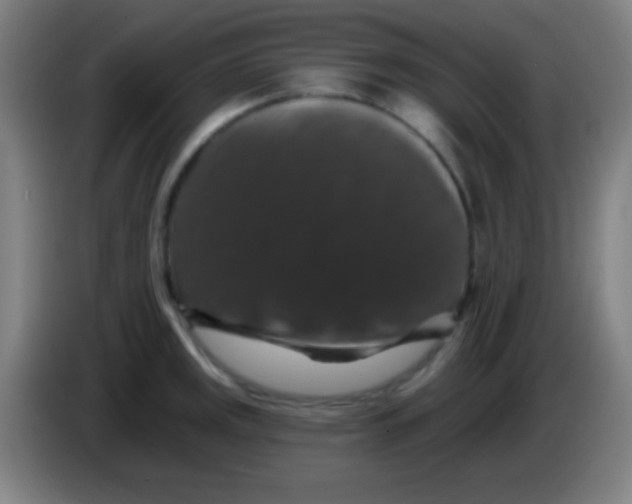 X0000085301141200703301954