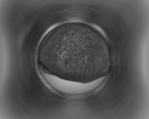 X0000085301142200703301954