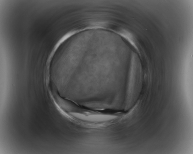 X0000085301143200703301954