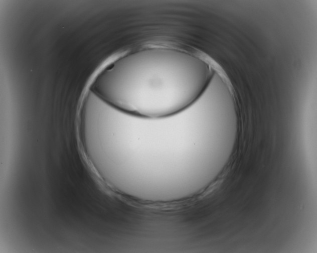 X0000085301146200703301954