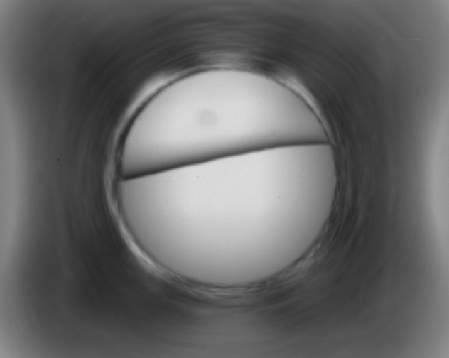 X0000085301147200703301954