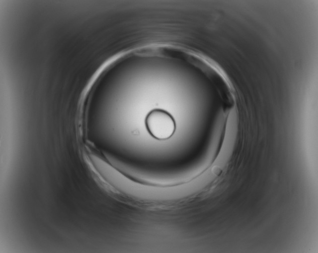 X0000085301148200703301954