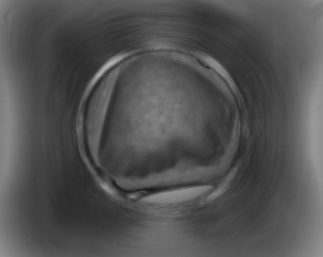 X0000085301149200703301954