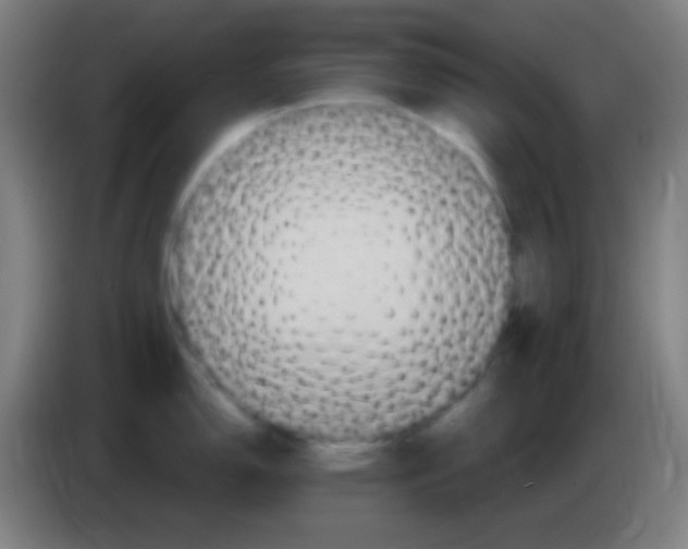 X0000085301150200703301954