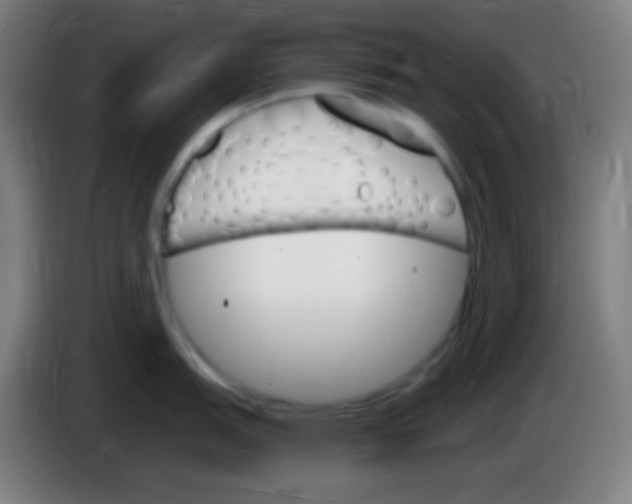 X0000085301151200703301954