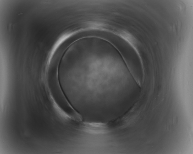 X0000085301152200703301954