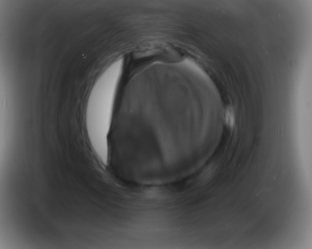 X0000085301155200703301954