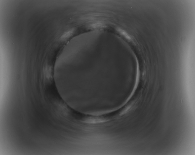 X0000085301156200703301954