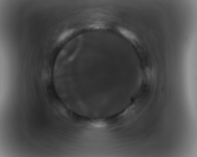 X0000085301158200703301954