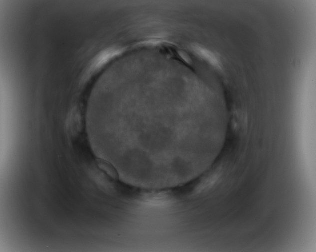 X0000085301159200703301954