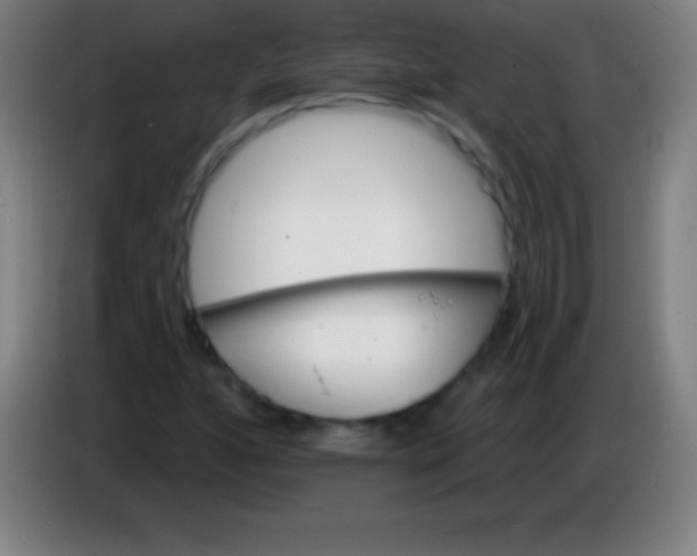 X0000085301160200703301954