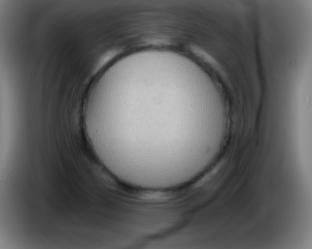 X0000085301162200703301954