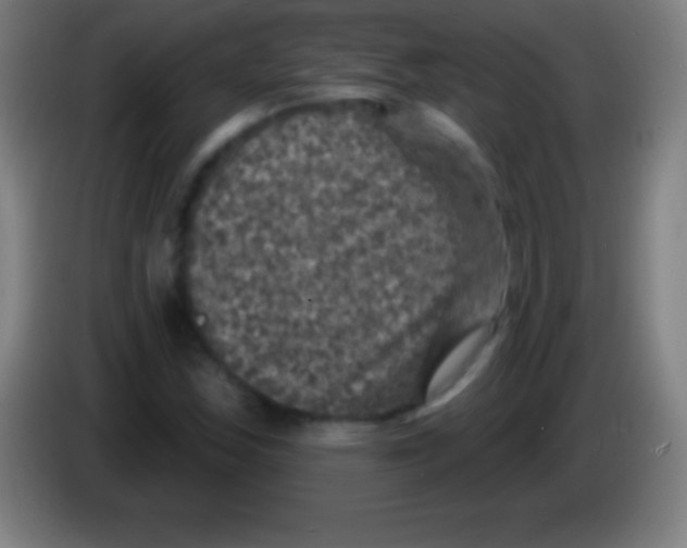 X0000085301163200703301954