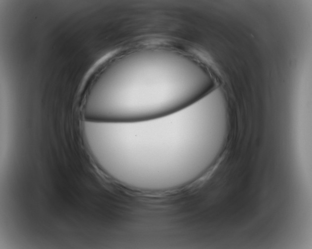 X0000085301164200703301954