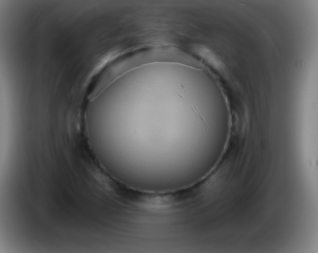 X0000085301165200703301953