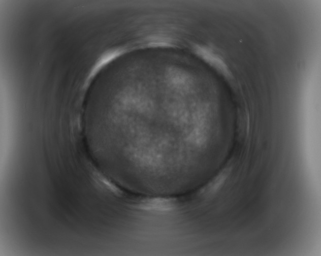 X0000085301166200703301953