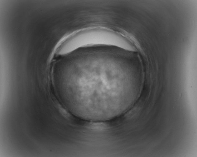 X0000085301168200703301953