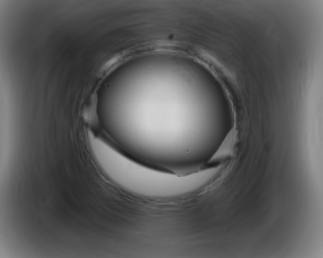 X0000085301169200703301953