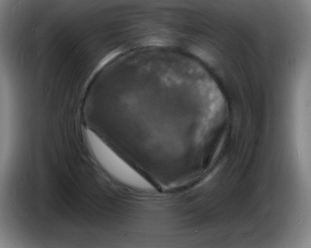 X0000085301170200703301953