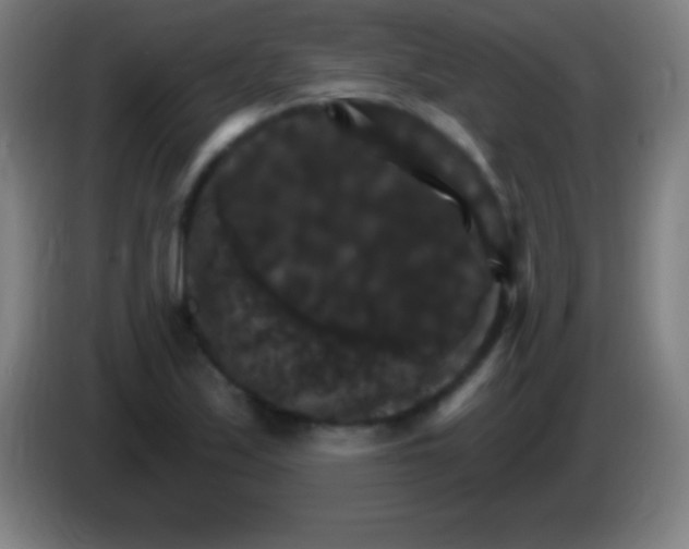 X0000085301171200703301953