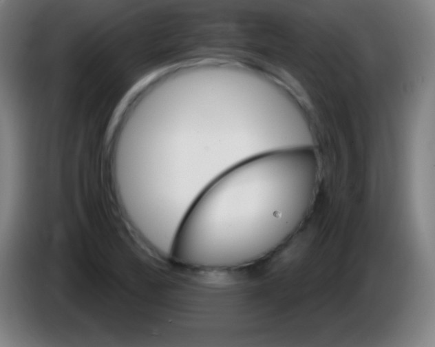 X0000085301172200703301953