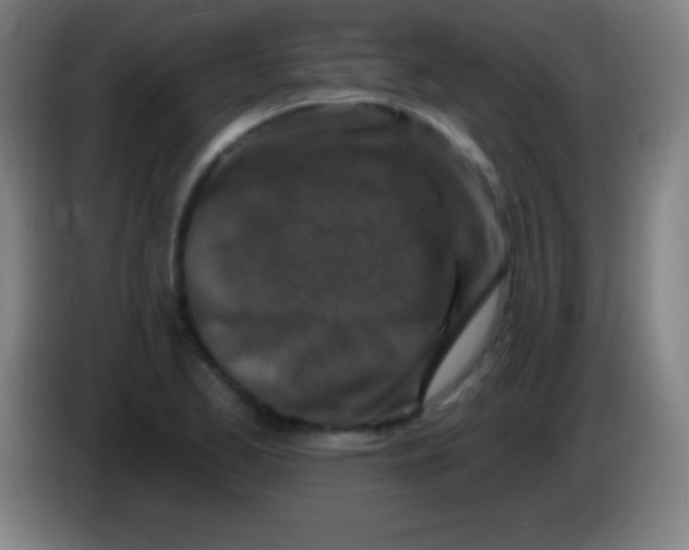 X0000085301173200703301953