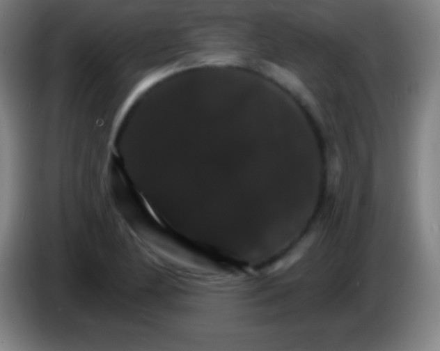 X0000085301174200703301953