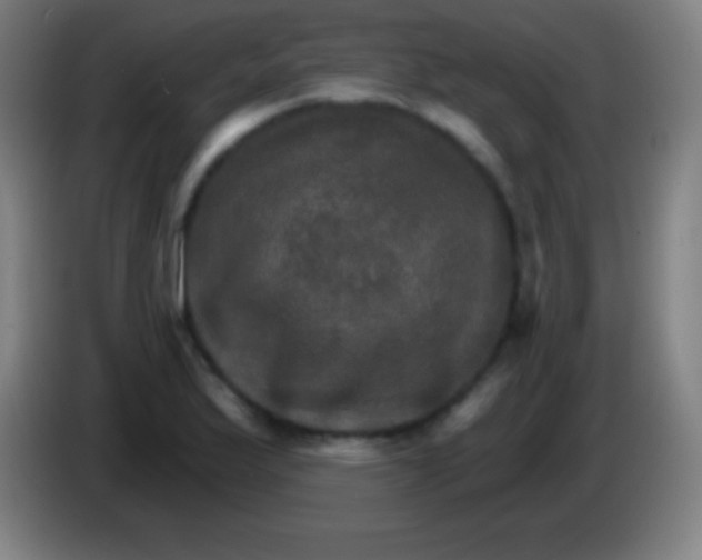 X0000085301175200703301953