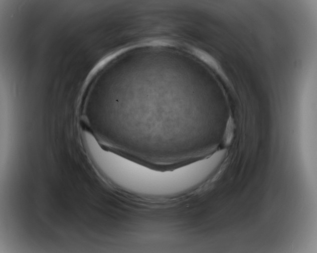 X0000085301176200703301953