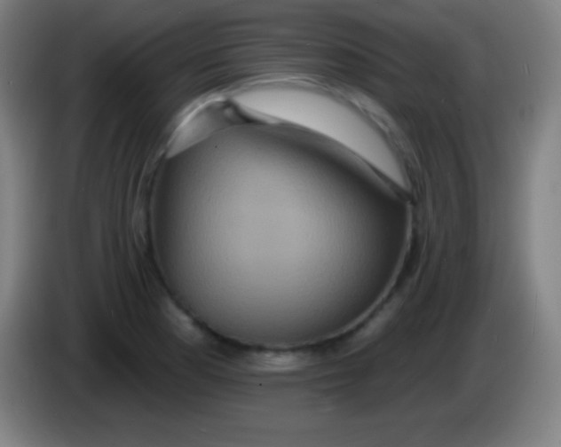 X0000085301177200703301953