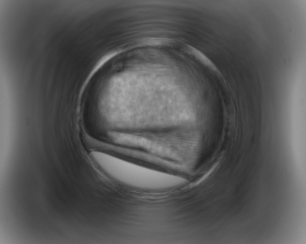 X0000085301178200703301953