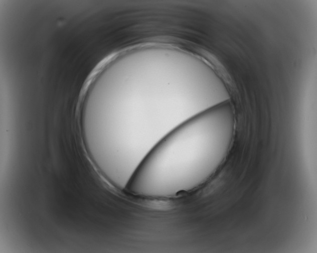 X0000085301180200703301953