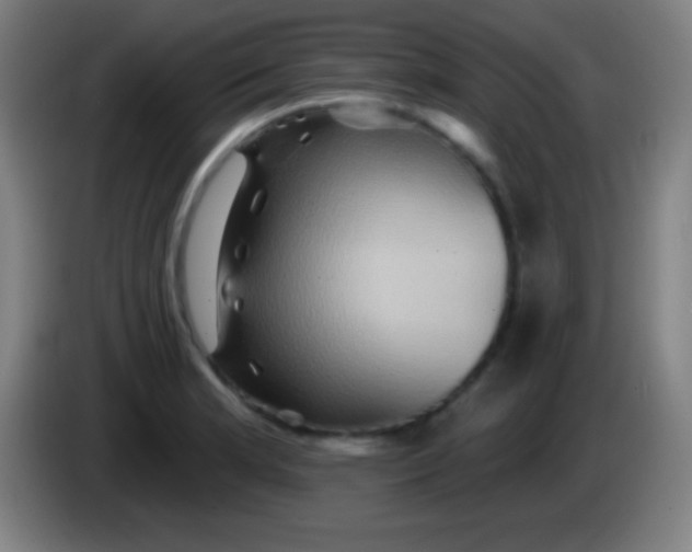 X0000085301181200703301953