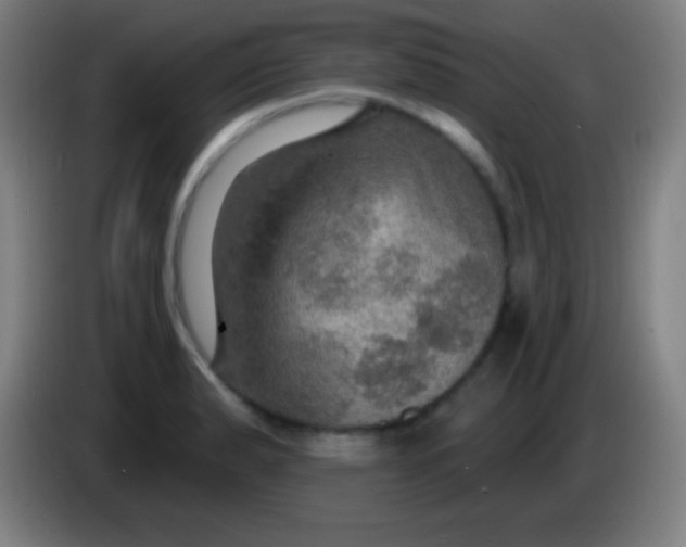 X0000085301183200703301953