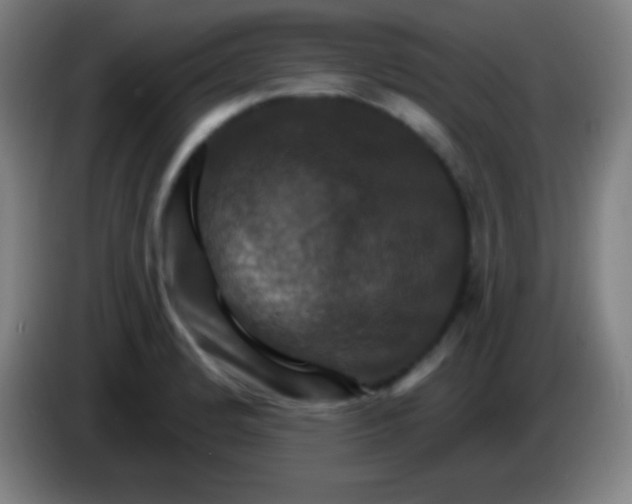 X0000085301184200703301953