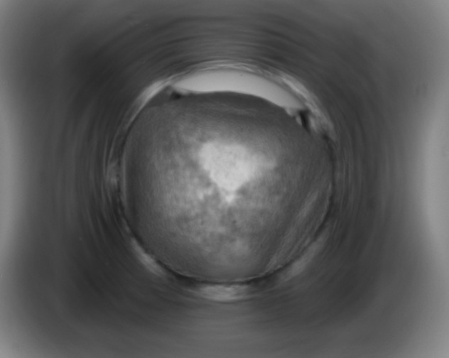 X0000085301185200703301953