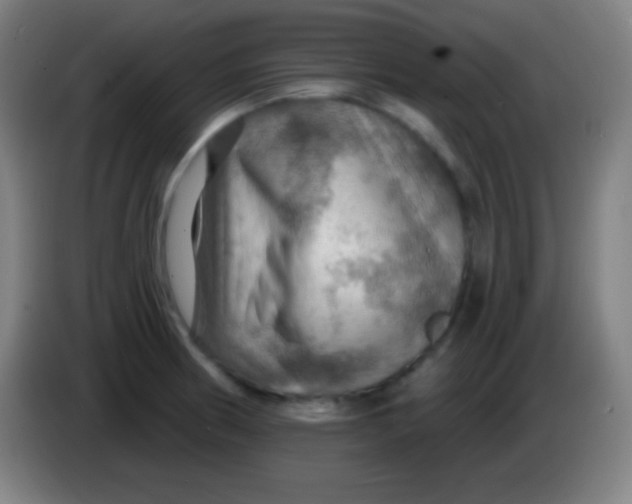 X0000085301186200703301953