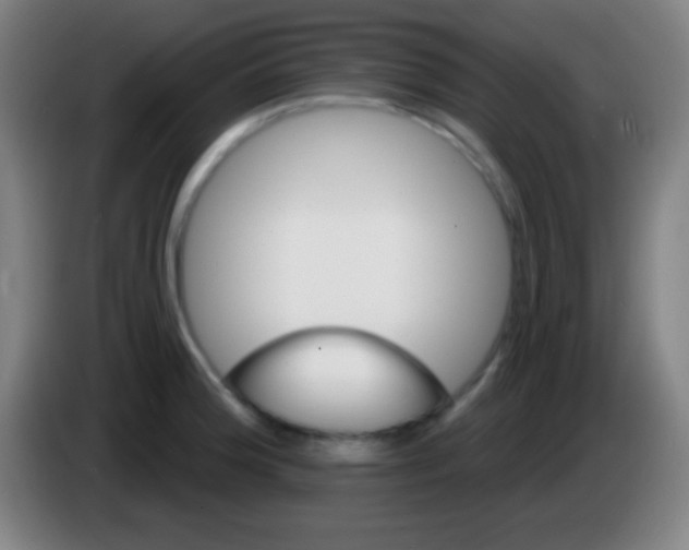 X0000085301188200703301953