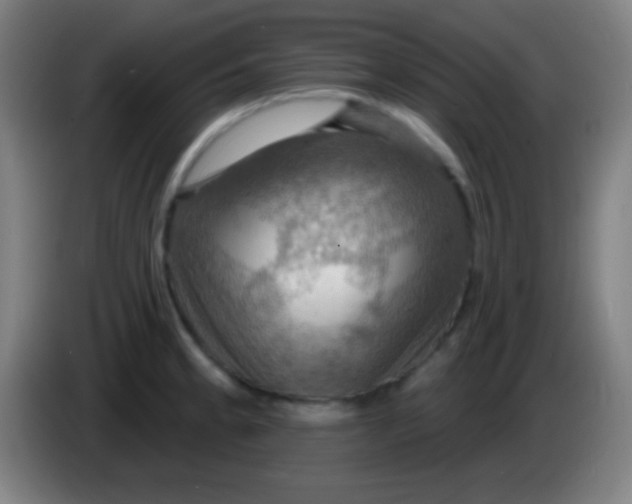 X0000085301189200703301953