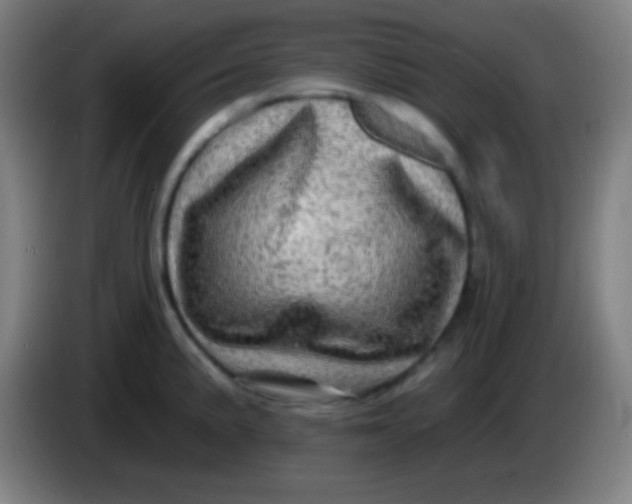 X0000085301191200703301953