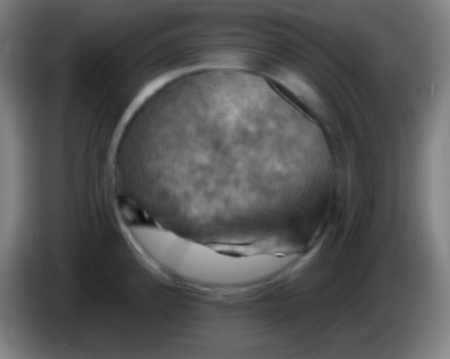 X0000085301192200703301953