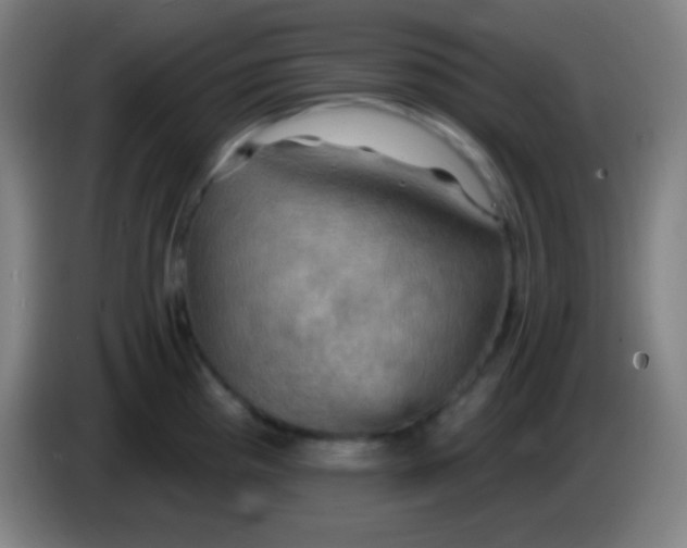 X0000085301193200703301953