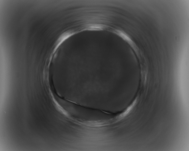 X0000085301194200703301953