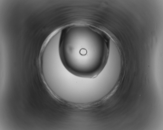 X0000085301196200703301953